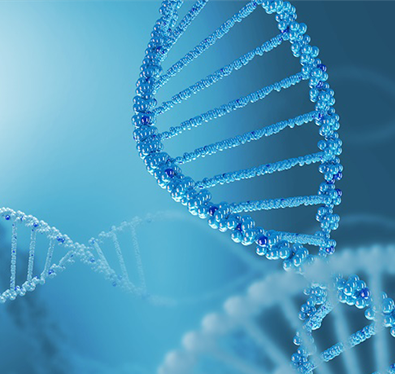 INC国际神经外科旗下Vinko V. Dolenc教授来华学术交流