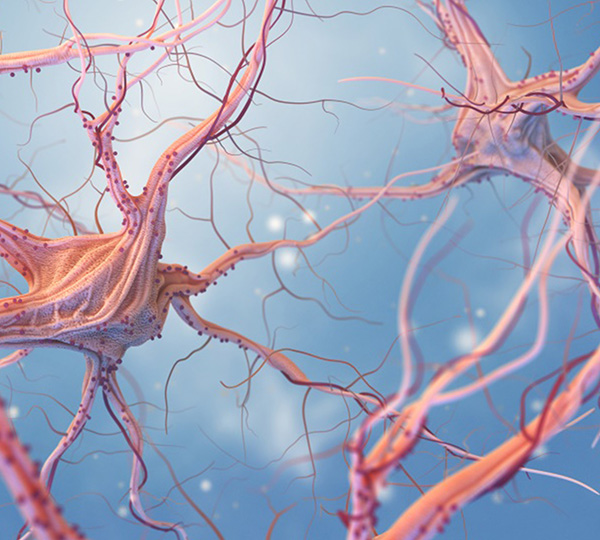 年轻人帕金森病的症状怎么治？