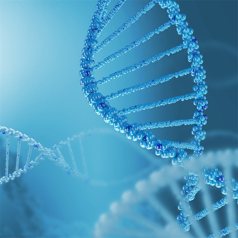 使用肿瘤位置、活检和切除的脑图比较各组间胶质母细胞瘤的手术决定