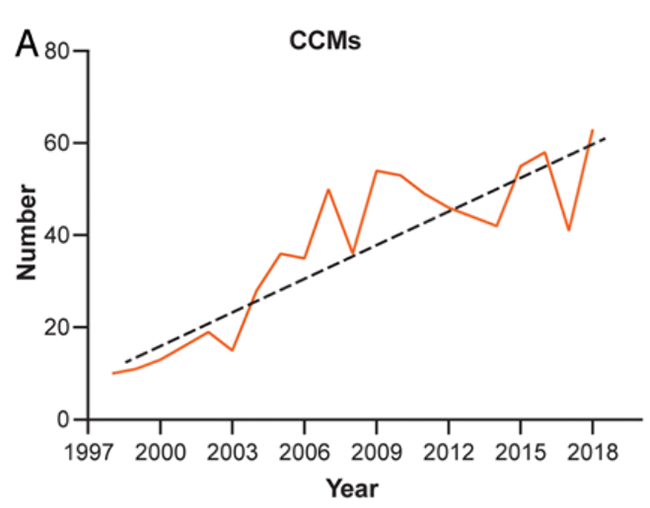 颅内海绵状血管瘤