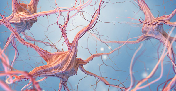 <a href='/bingzhong/sgtqzl/' target='_blank'><u>松果体区肿瘤</u></a>