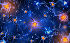 国际神经外科学院Couldwell教授解读：垂体瘤患者须知的治疗途径