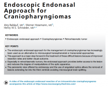 INC德国Schroeder教授关于神经内镜经鼻入路治疗颅咽管瘤的解析