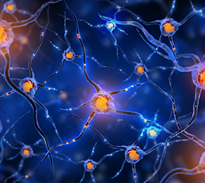 【视频交流】国际神经外科学院(WANS)主席Couldwell教授切除脑桥肿瘤全程记录