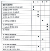 得了胶质瘤意味着什么？别灰心，10年生存期将越来越高