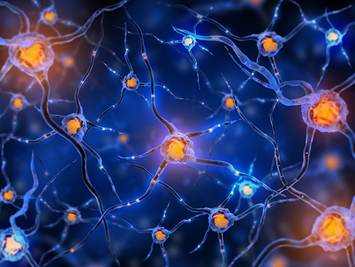 <a href='/qianyan/naozhongliu/' target='_blank'><u>脑肿瘤</u></a>治射治疗