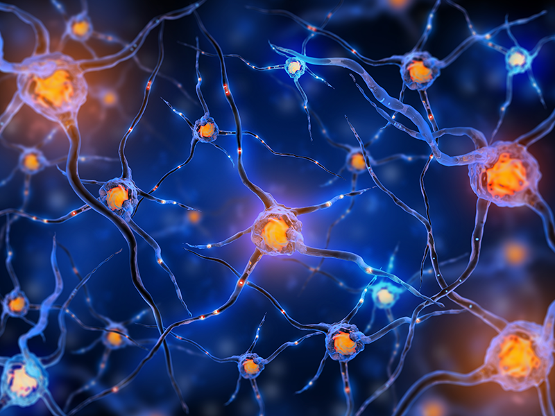 INC加拿大James Rutka教授：儿童癫痫切除术失败后再手术