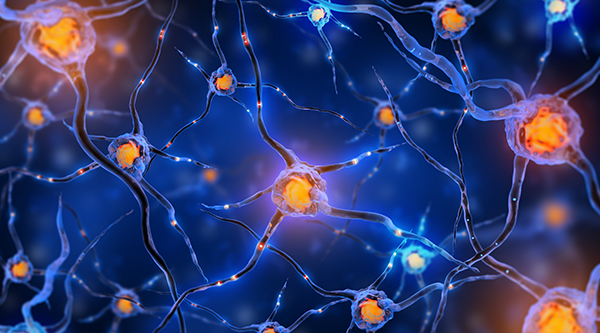 难治性癫痫诊断标准是什么？