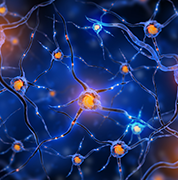 脑部胶质瘤基因检测有什么作用？