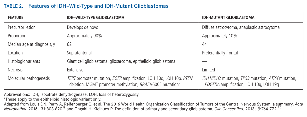 高级别星形细胞瘤