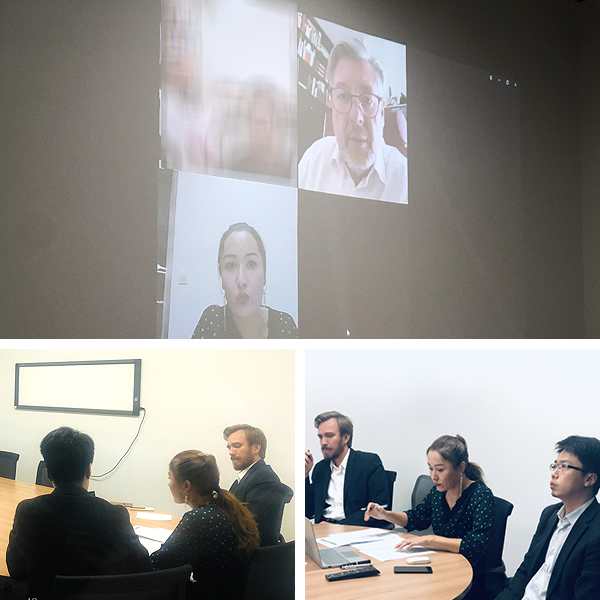 INC国际教授远程咨询