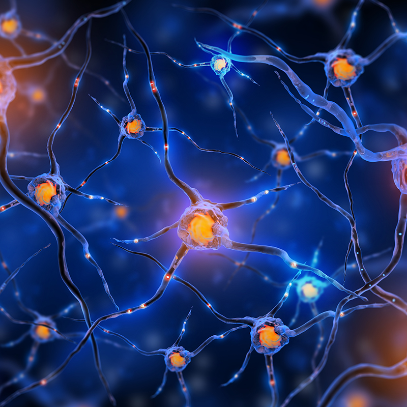 利用切除概率图量化胶质母细胞瘤手术的优势