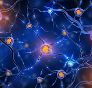 脑部胶质瘤属于癌症吗？胶质瘤能治好吗？