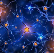 胼胝体切开术：难治性癫痫患者的“断舍离”