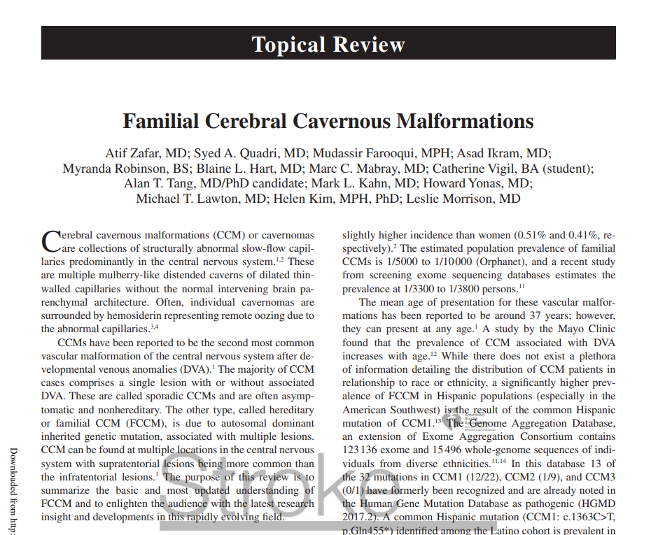 脑海绵状血管瘤