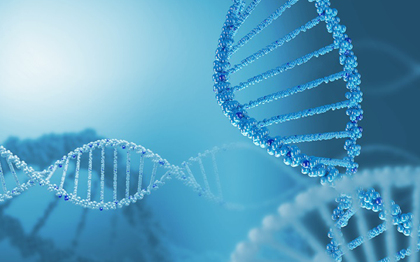 听神经瘤治疗方案