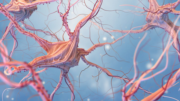 儿童低级别胶质瘤