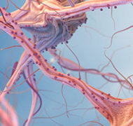 表观遗传学和分子分析对小儿低度神经胶质瘤的临床影响