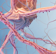 低级别胶质瘤有一辈子不复发的吗？术后需要注意什么？