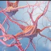 控制CDK7是在体外和体内针对多形性胶质母细胞瘤的新型治疗策略