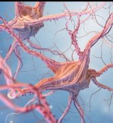 手机使用会增加听神经瘤的风险吗？