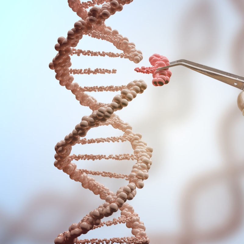 我的脑瘤故事：胶质母细胞瘤治疗经历