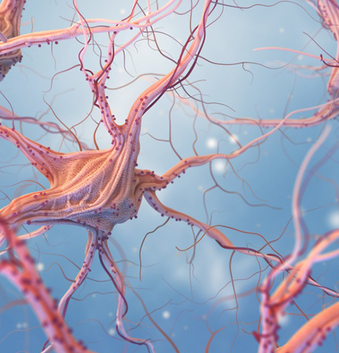 垂体细胞瘤是什么病？