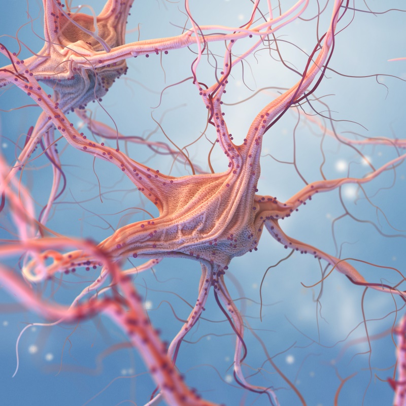 脑膜瘤会遗传吗？得了脑膜瘤会遗传给孩子吗？