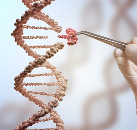 脑海绵状血管瘤的发病率、患病率和临床表现简述