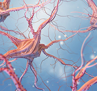 癫痫、癫痫发作、癫痫综合征、癫痫性脑病的区别