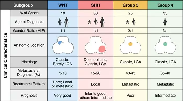儿童髓母细胞瘤