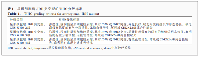 2021 年国际卫生组织中枢神经系统肿瘤分类（五版）成人型弥漫性胶质瘤分类解读