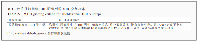 2021 年国际卫生组织中枢神经系统肿瘤分类（五版）成人型弥漫性胶质瘤分类解读