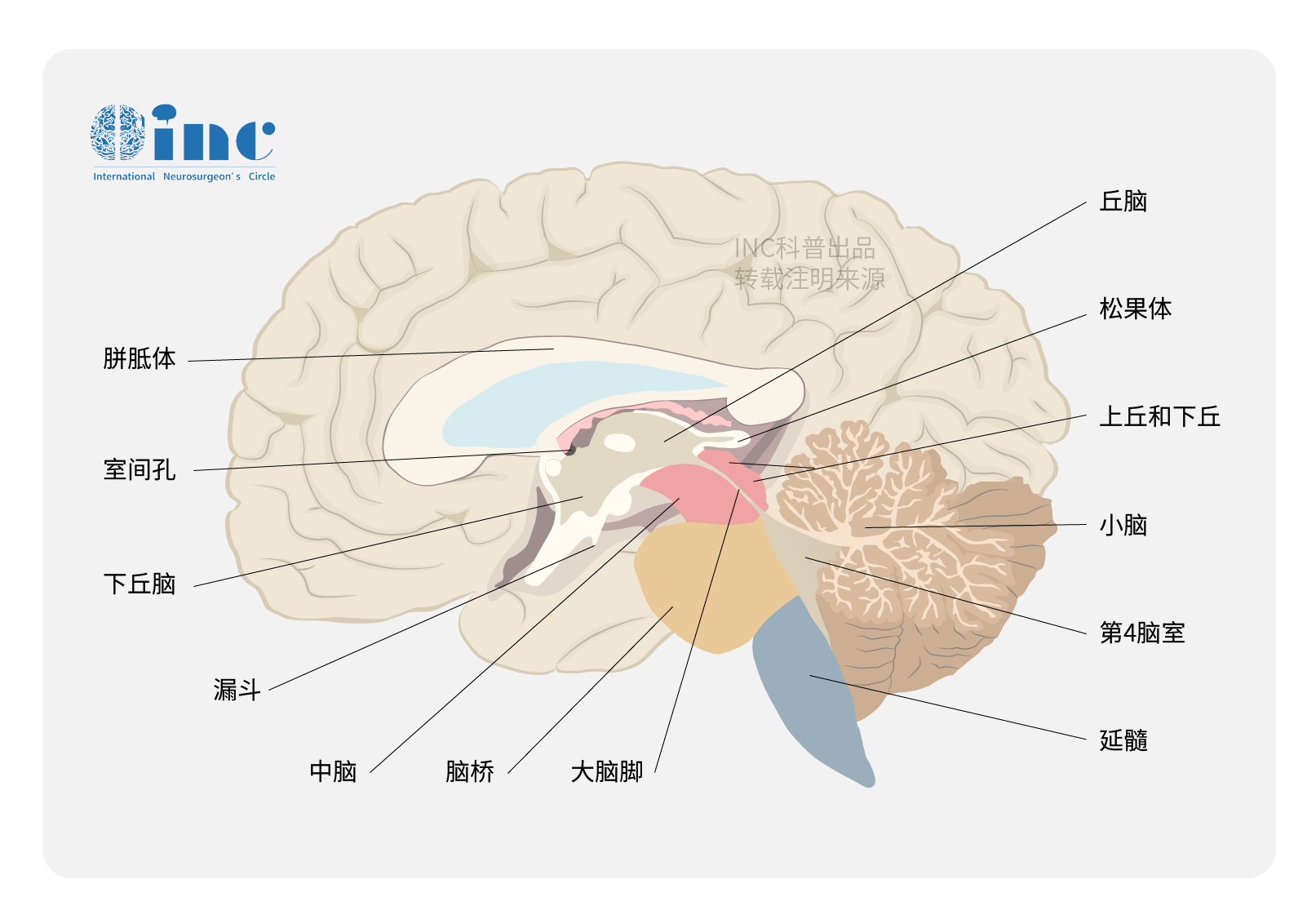 松果体生殖细胞瘤放疗效果好吗？究竟如何治疗？