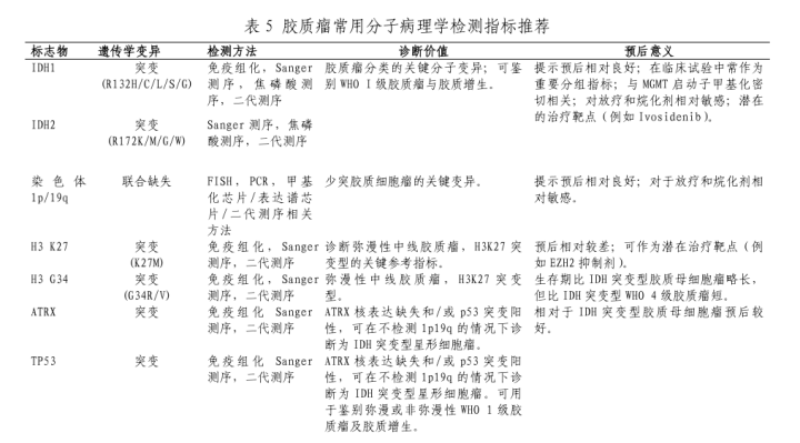 得了胶质瘤能活多久？这些因素提示生存预后好