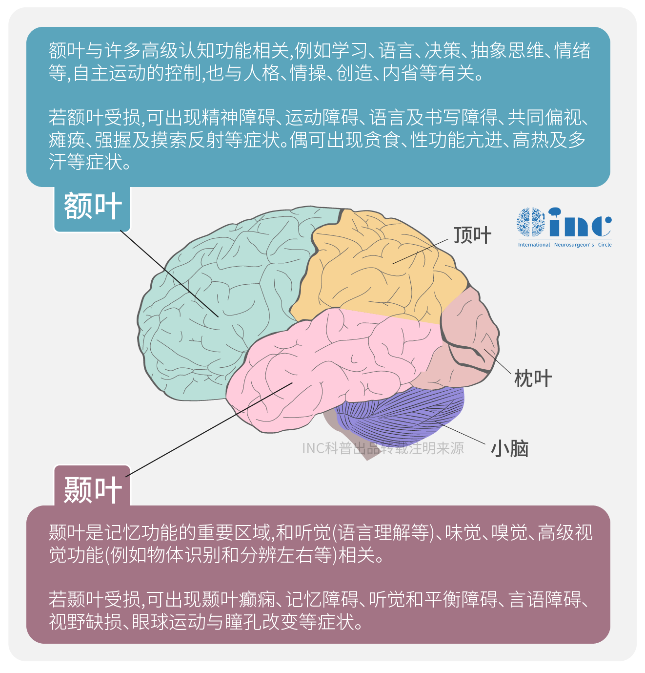 额叶、颞叶一旦长出胶质瘤，可以安全切除吗？