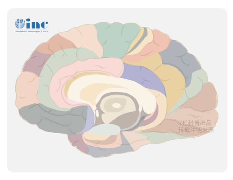 大脑镰旁脑膜瘤mr表现，左大脑镰旁脑膜瘤严重吗？