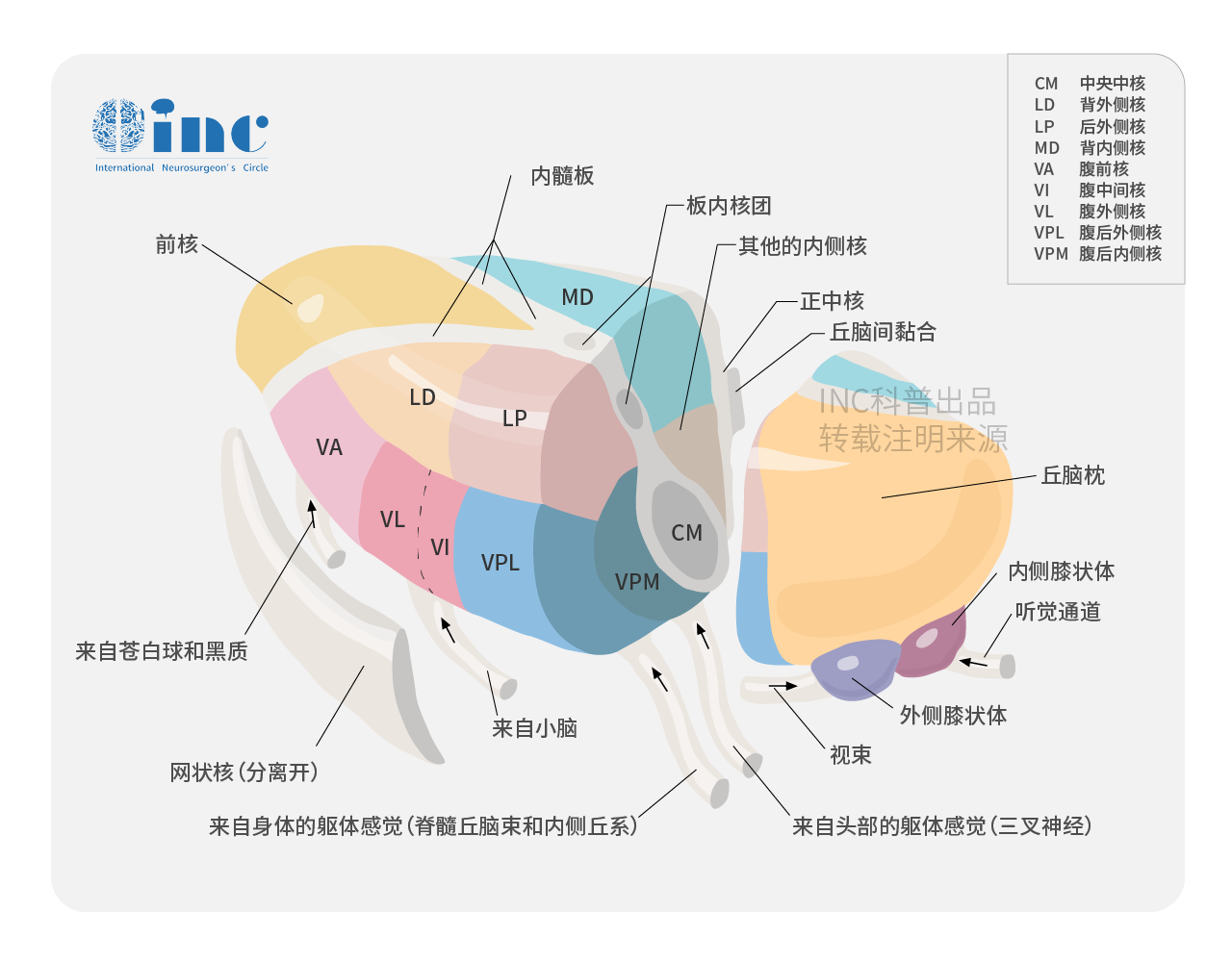 丘脑肿瘤能治好吗？