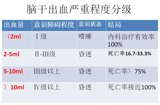 脑干出血分级