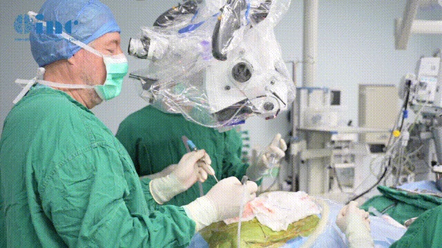 脑干延髓海绵状血管瘤