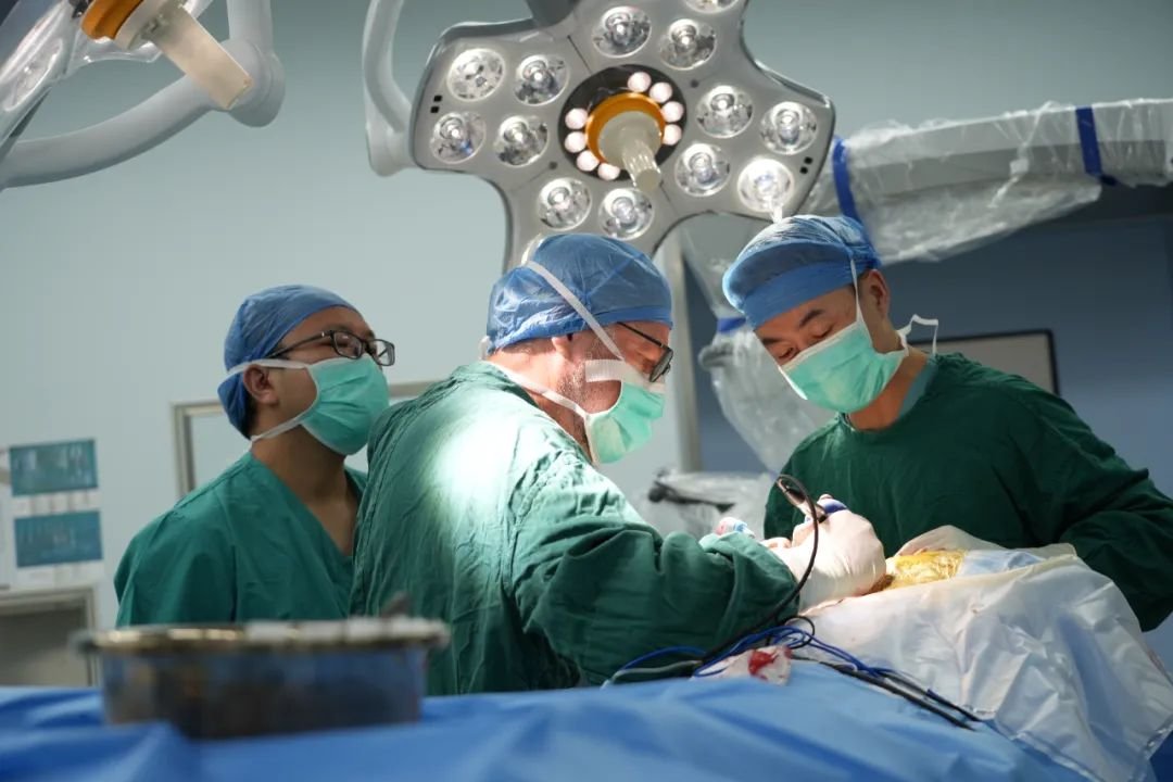 INC德国巴特朗菲教授