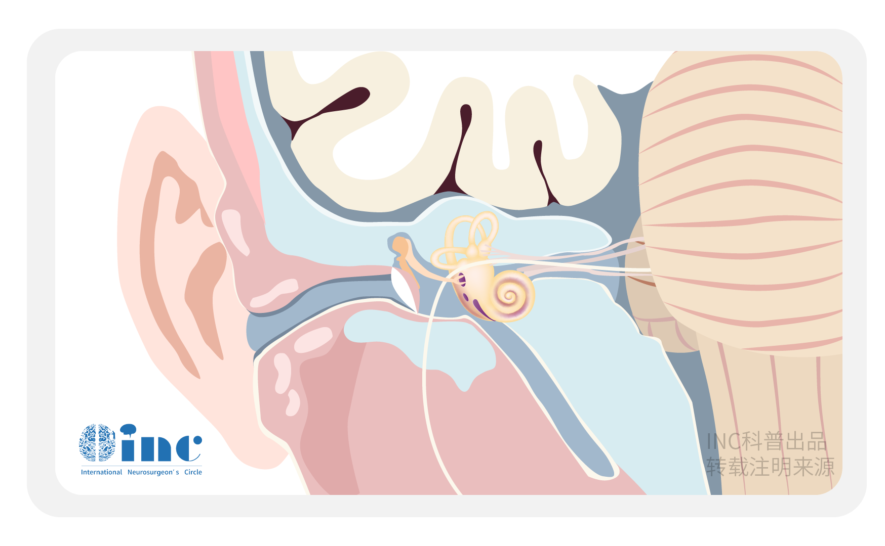 听神经瘤的早期症状有哪些？如何治疗听神经瘤?