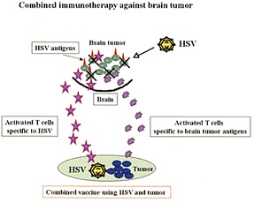 Takehsi Kawase教授