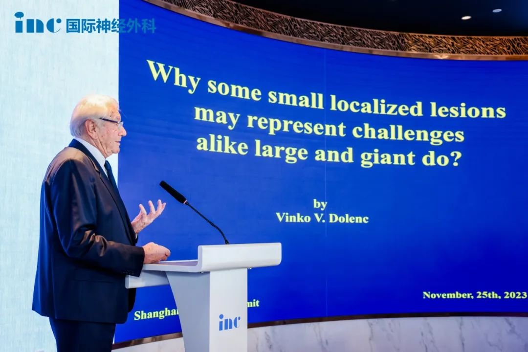 Vinko V.Dolenc教授（斯洛文尼亚）