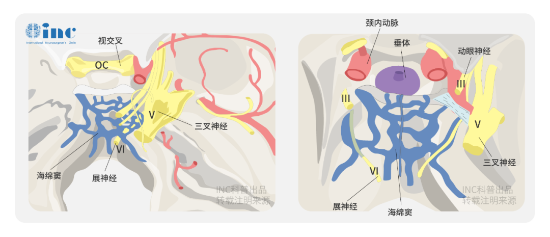 国际<a href='/bingzhong/jisuoliu/' target='_blank'><u>脊索瘤</u></a>手术大咖案例