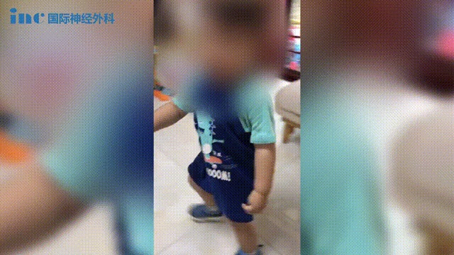 2019年，手术后没多久的聪聪已经恢复了往日的活泼可爱。