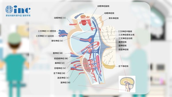 脑干肿瘤手术成功率多大正常