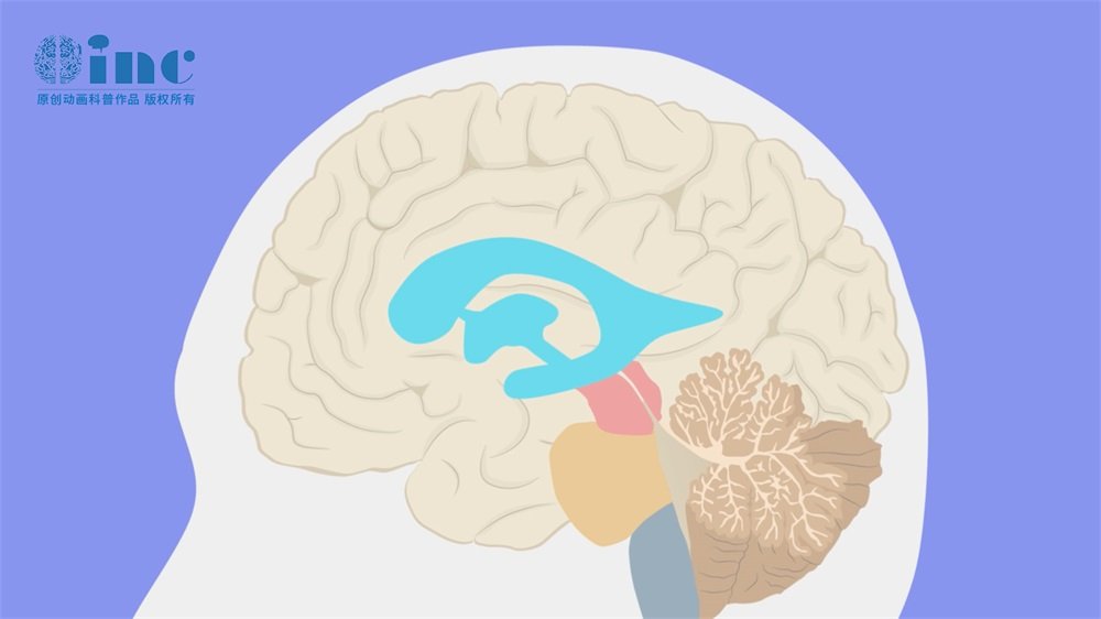 野生型星形细胞瘤