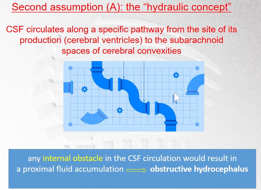 二个研究假说是一种脑脊液液压假说