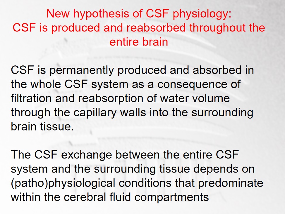 2、脑脊液并非仅在脑室产生